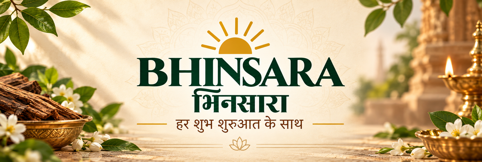 logo 2 with bg